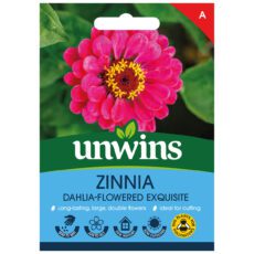 5051618027335 1 Zinnia Dahlia Exquisite Seeds.jpg